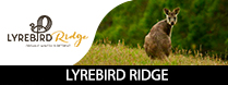 Lyrebird Ridge