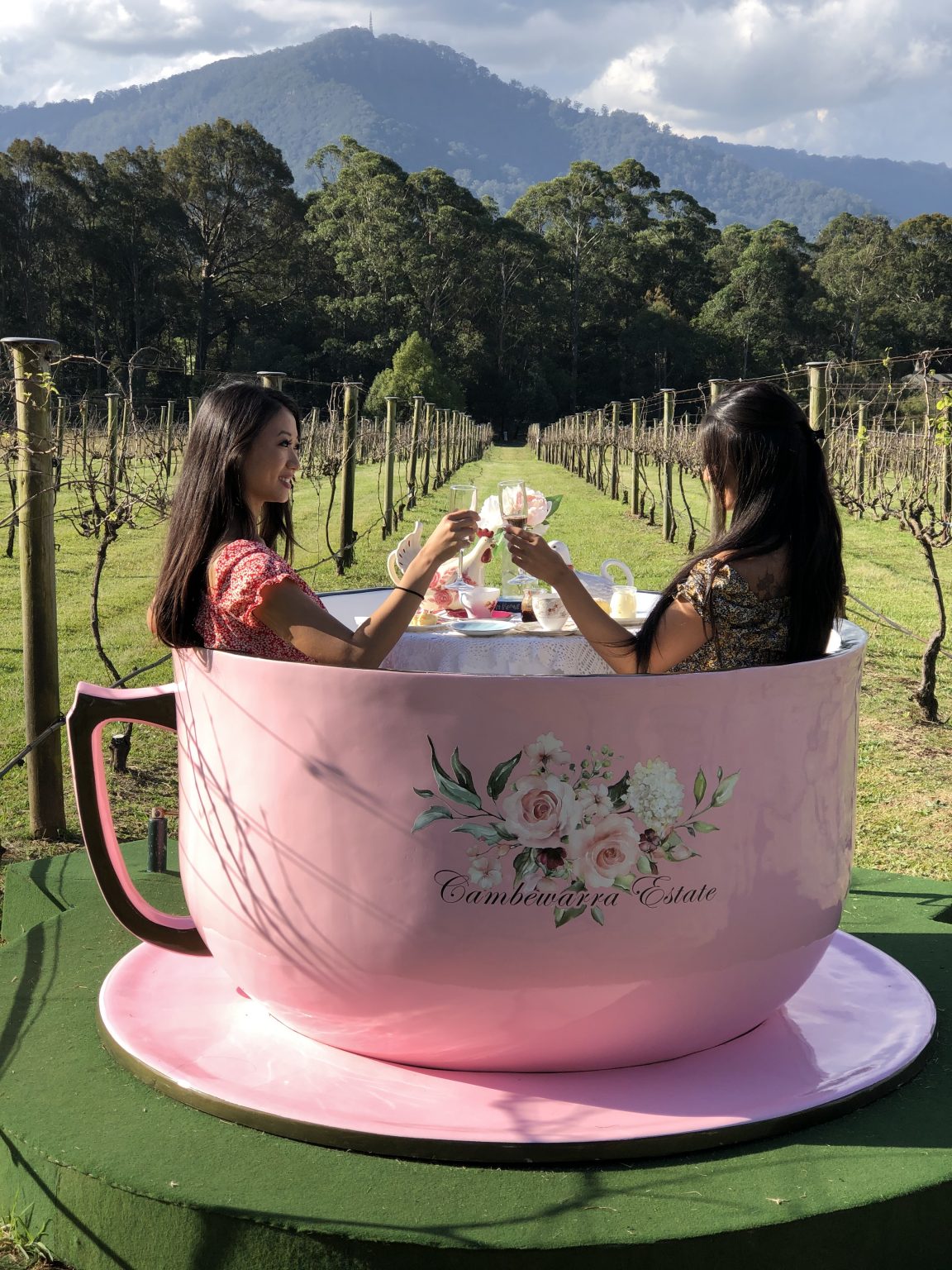 Try our amazing High Tea experience (or VIP High Tea) and taste our handcrafted High Tea menu and Estate Bubbles